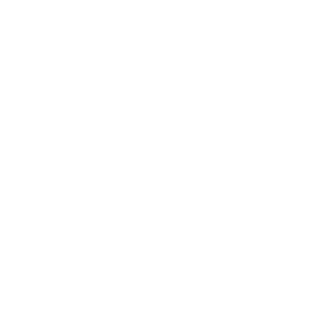 Volkswagen Digital Solutions at pth conference 2024