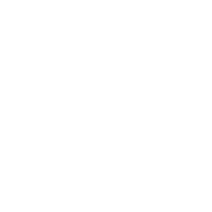 Salsify at Porto Tech Hub Conference 2024