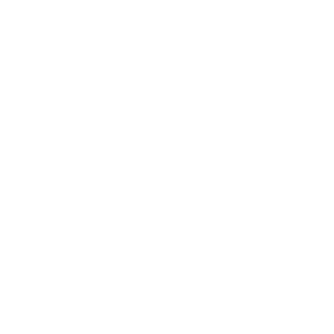 Open Cascade at PTH Conference 2024