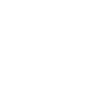 Revolut at pth conference