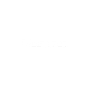 Vestas at pth conference
